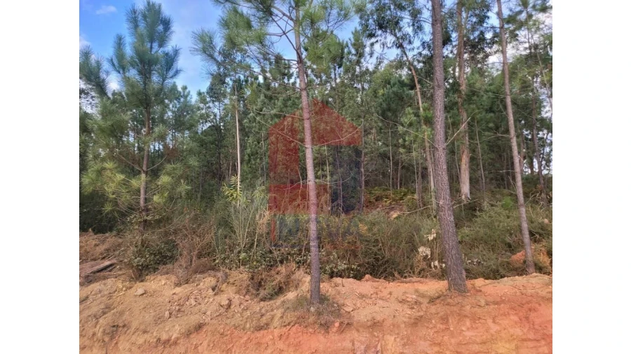 Terreno para Venda em Carreiras (São Miguel) e Carreiras (Santiago) Foto 4