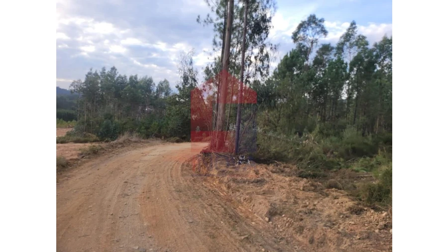 Terreno para Venda em Carreiras (São Miguel) e Carreiras (Santiago) Foto 15