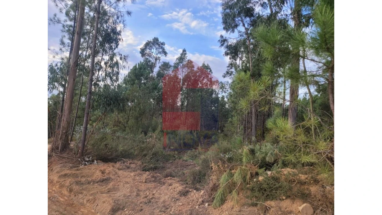 Terreno para Venda em Carreiras (São Miguel) e Carreiras (Santiago) Foto 9