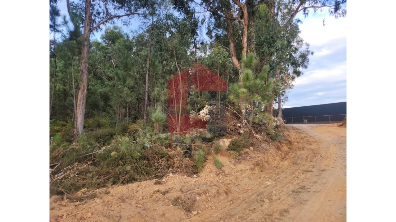 Terreno para Venda em Carreiras (São Miguel) e Carreiras (Santiago) Foto 3