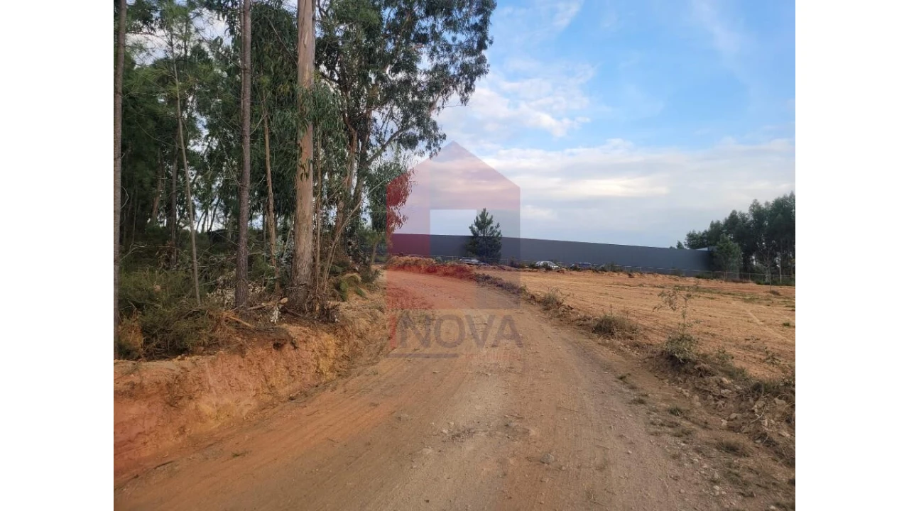 Terreno para Venda em Carreiras (São Miguel) e Carreiras (Santiago) Foto 5