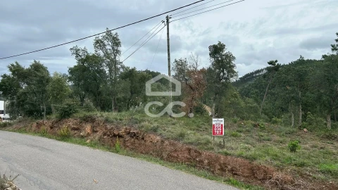 Terreno para Venda em Eiras e São Paulo de Frades
