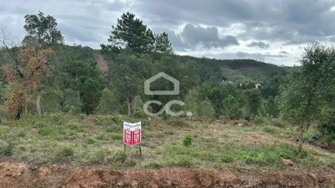 Terreno para Venda em Eiras e São Paulo de Frades
