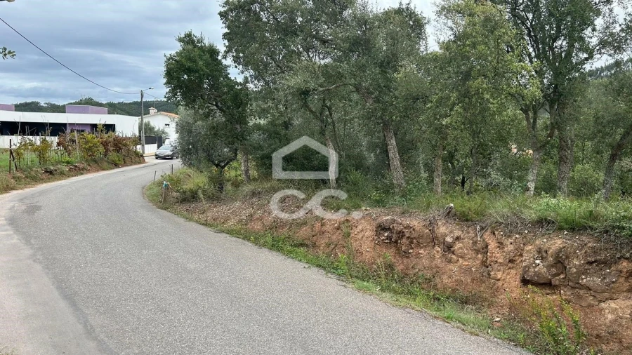 Terreno para Venda em Eiras e São Paulo de Frades Foto 9