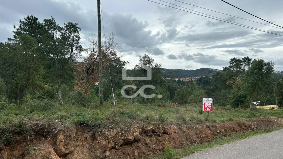 Terreno para Venda em Eiras e São Paulo de Frades Foto 5