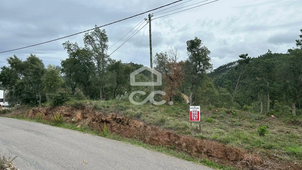 Terreno para Venda em Eiras e São Paulo de Frades Foto 3