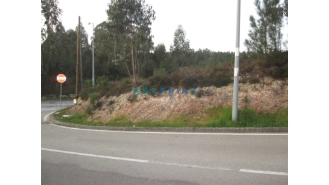 Terreno para Venda em Colmeias e Memória