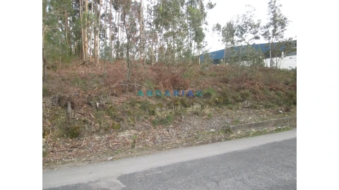 Terreno para Venda em Colmeias e Memória