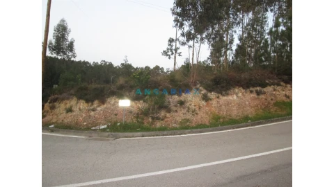 Terreno para Venda em Colmeias e Memória