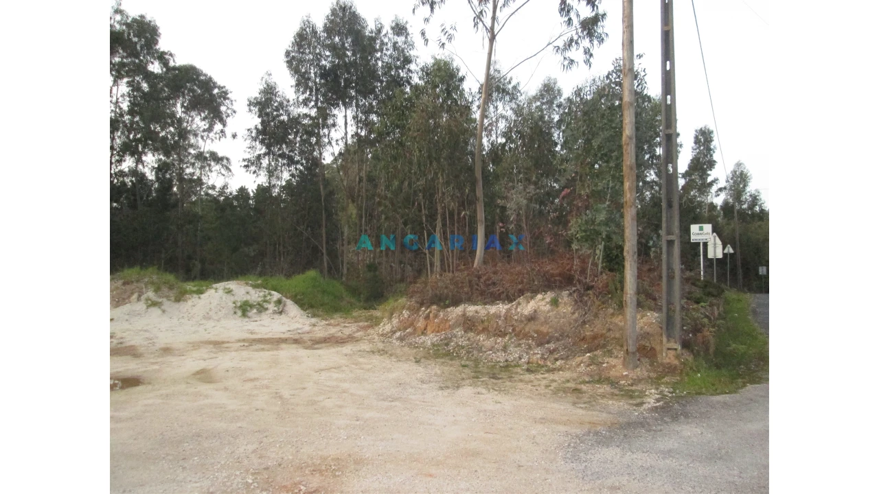 Terreno para Venda em Colmeias e Memória Foto 1