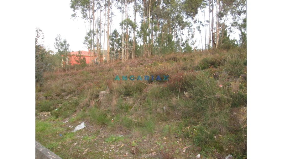 Terreno para Venda em Colmeias e Memória Foto 5