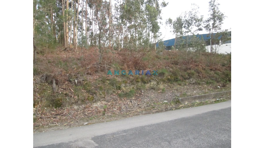 Terreno para Venda em Colmeias e Memória Foto 4