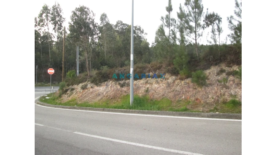 Terreno para Venda em Colmeias e Memória Foto 8