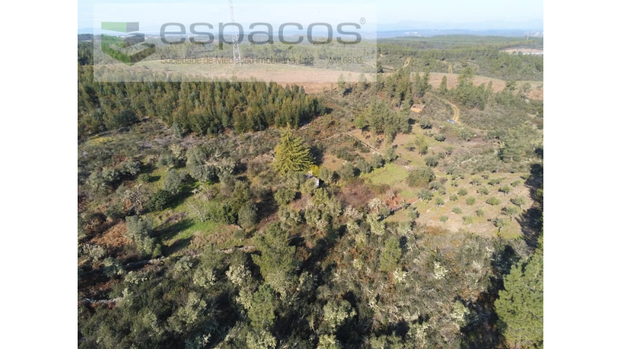 Quinta para Venda em Benquerenças Foto 3