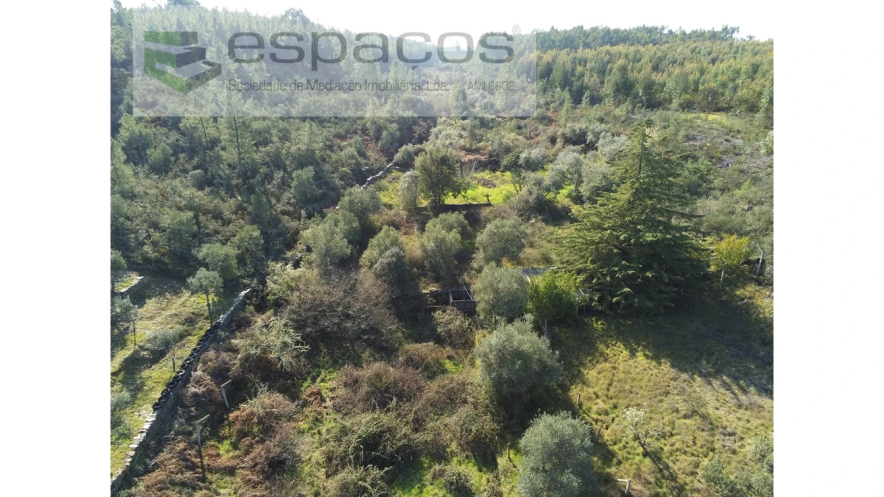 Quinta para Venda em Benquerenças Foto 4