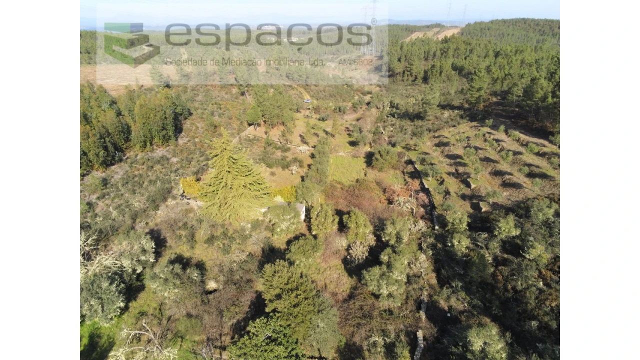 Quinta para Venda em Benquerenças Foto 6