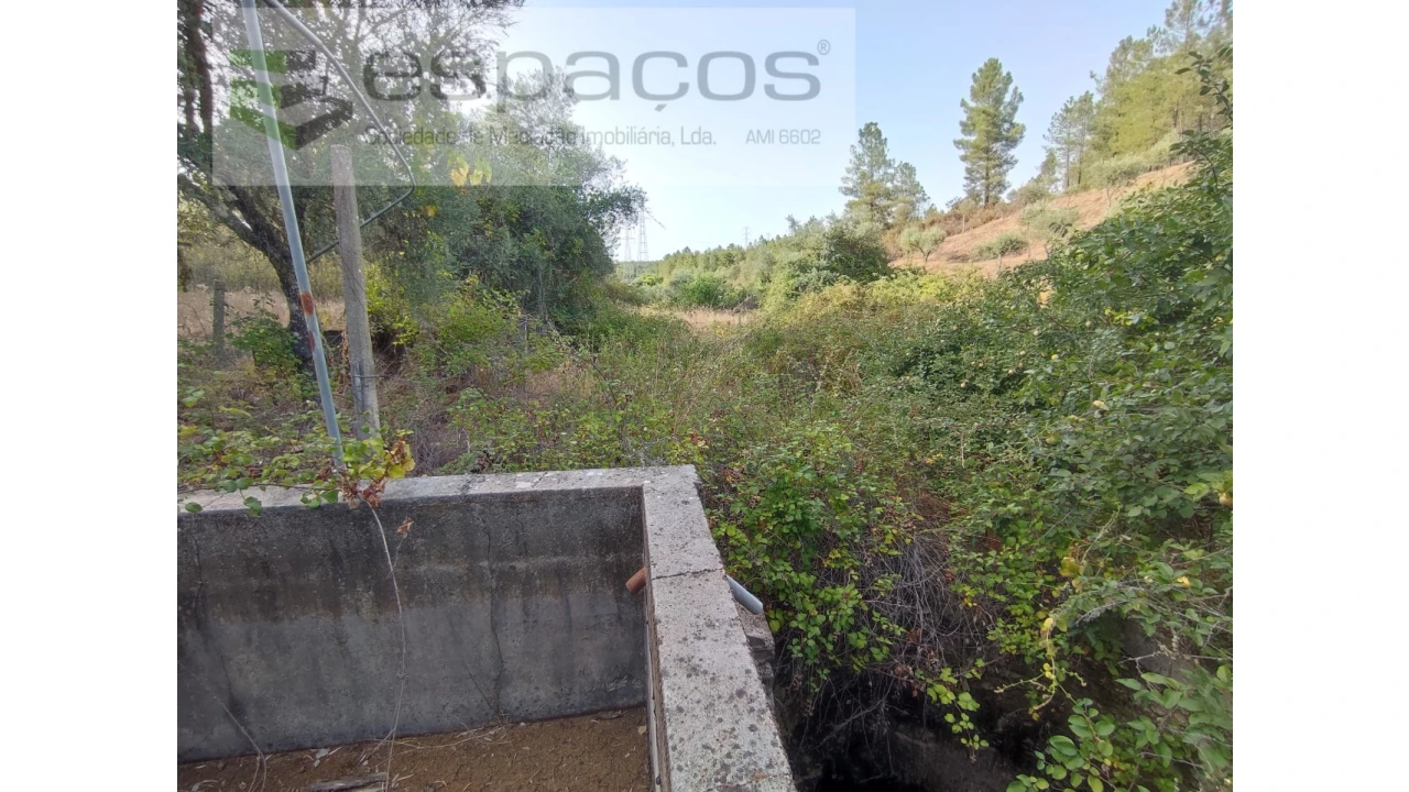 Quinta para Venda em Benquerenças Foto 7