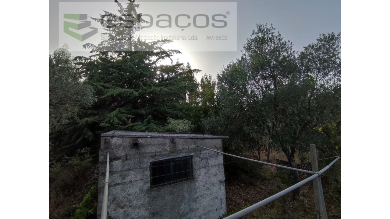 Quinta para Venda em Benquerenças Foto 11