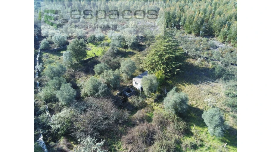 Quinta para Venda em Benquerenças Foto 1