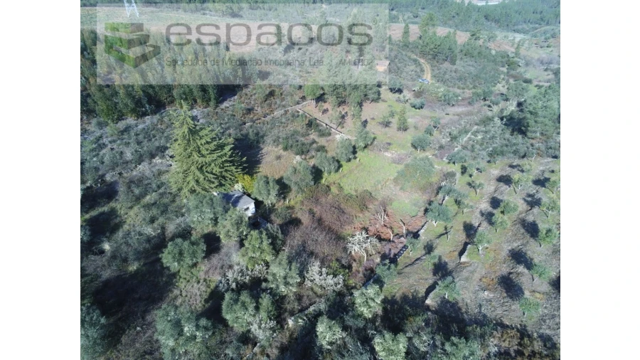 Quinta para Venda em Benquerenças Foto 2