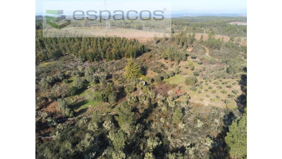 Quinta para Venda em Benquerenças Foto 3