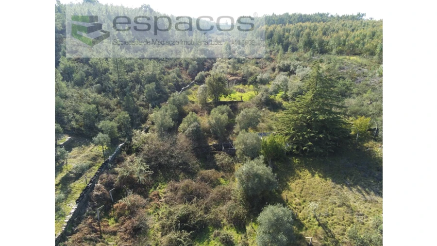 Quinta para Venda em Benquerenças Foto 4