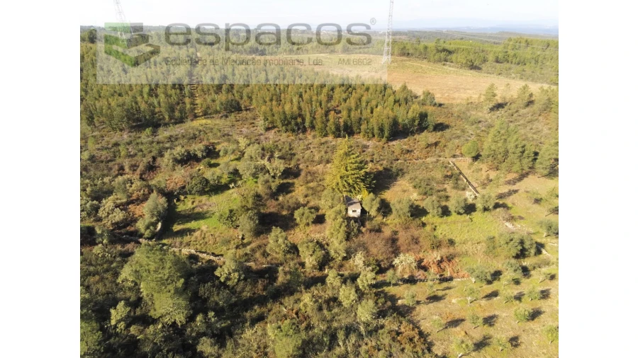 Quinta para Venda em Benquerenças Foto 5