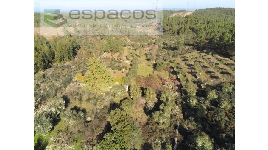 Quinta para Venda em Benquerenças Foto 6