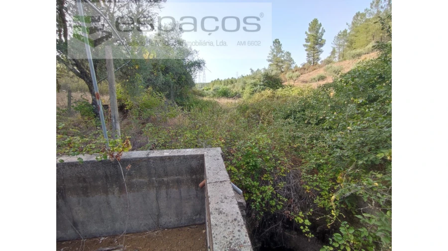 Quinta para Venda em Benquerenças Foto 7