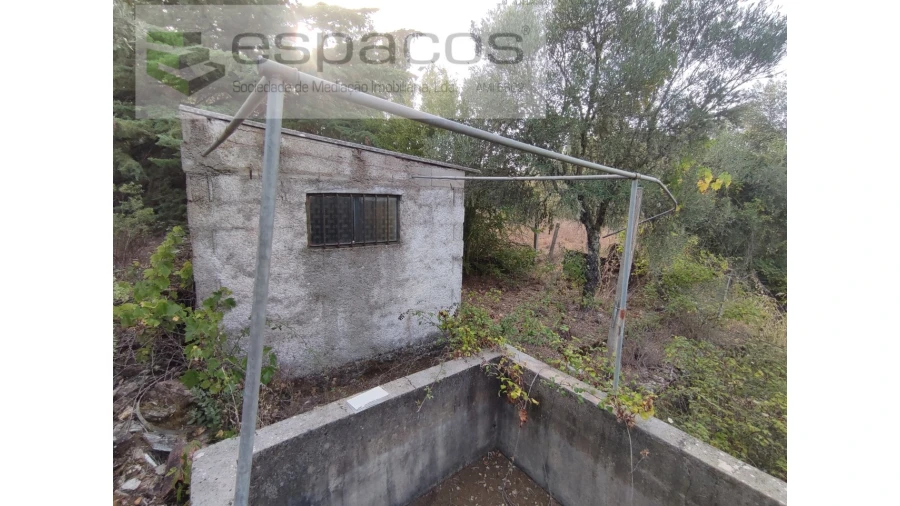 Quinta para Venda em Benquerenças Foto 8