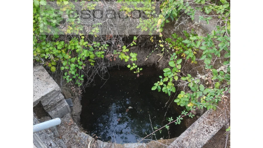Quinta para Venda em Benquerenças Foto 9