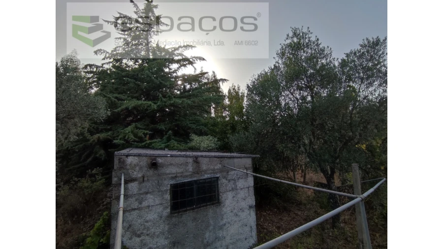 Quinta para Venda em Benquerenças Foto 11