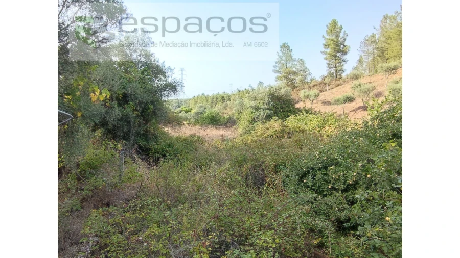 Quinta para Venda em Benquerenças Foto 12