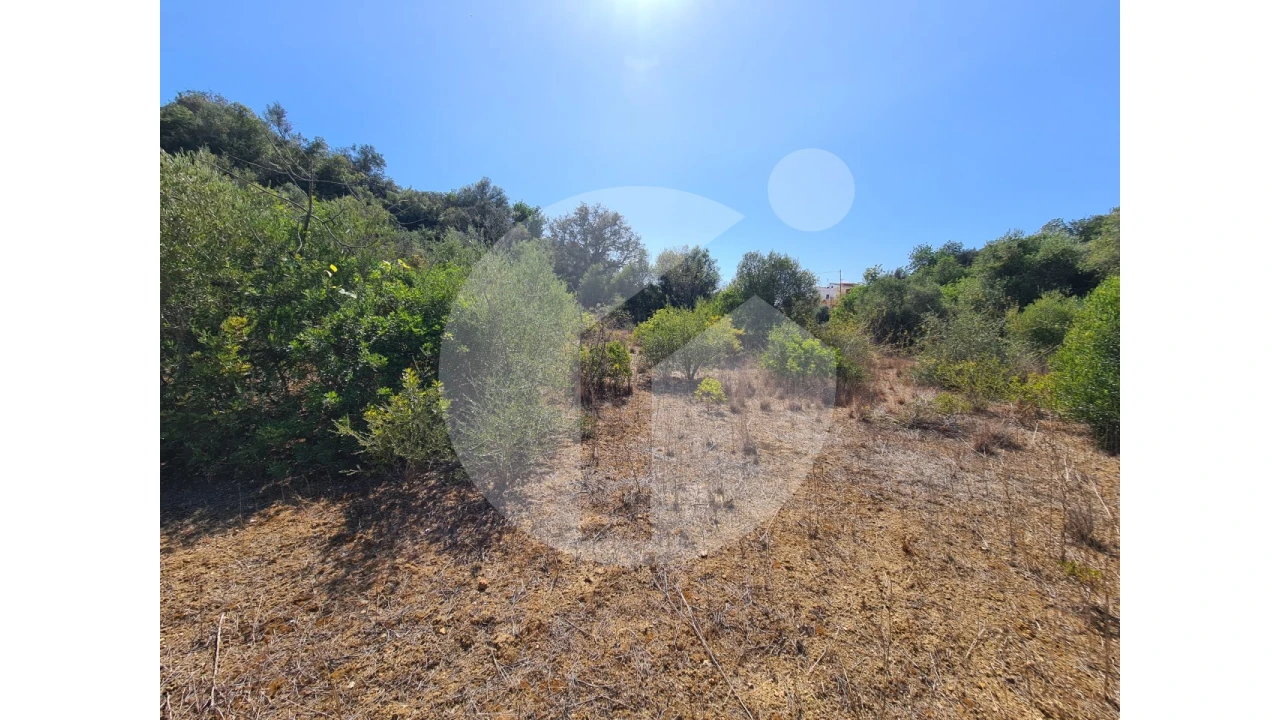Terreno Agricola ou Rústico para Venda em Moncarapacho e Fuseta Foto 2