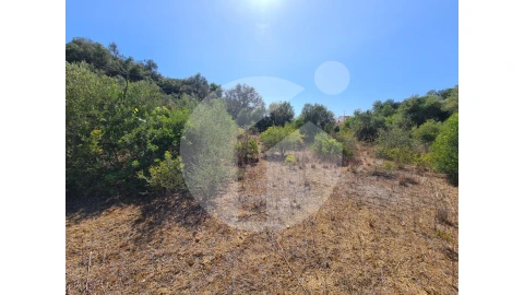 Terreno Agricola ou Rústico para Venda em Moncarapacho e Fuseta