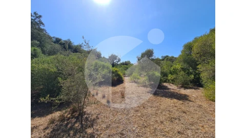 Terreno Agricola ou Rústico para Venda em Moncarapacho e Fuseta