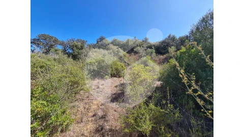 Terreno Agricola ou Rústico para Venda em Moncarapacho e Fuseta