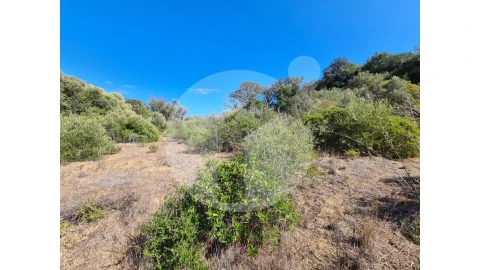 Terreno Agricola ou Rústico para Venda em Moncarapacho e Fuseta