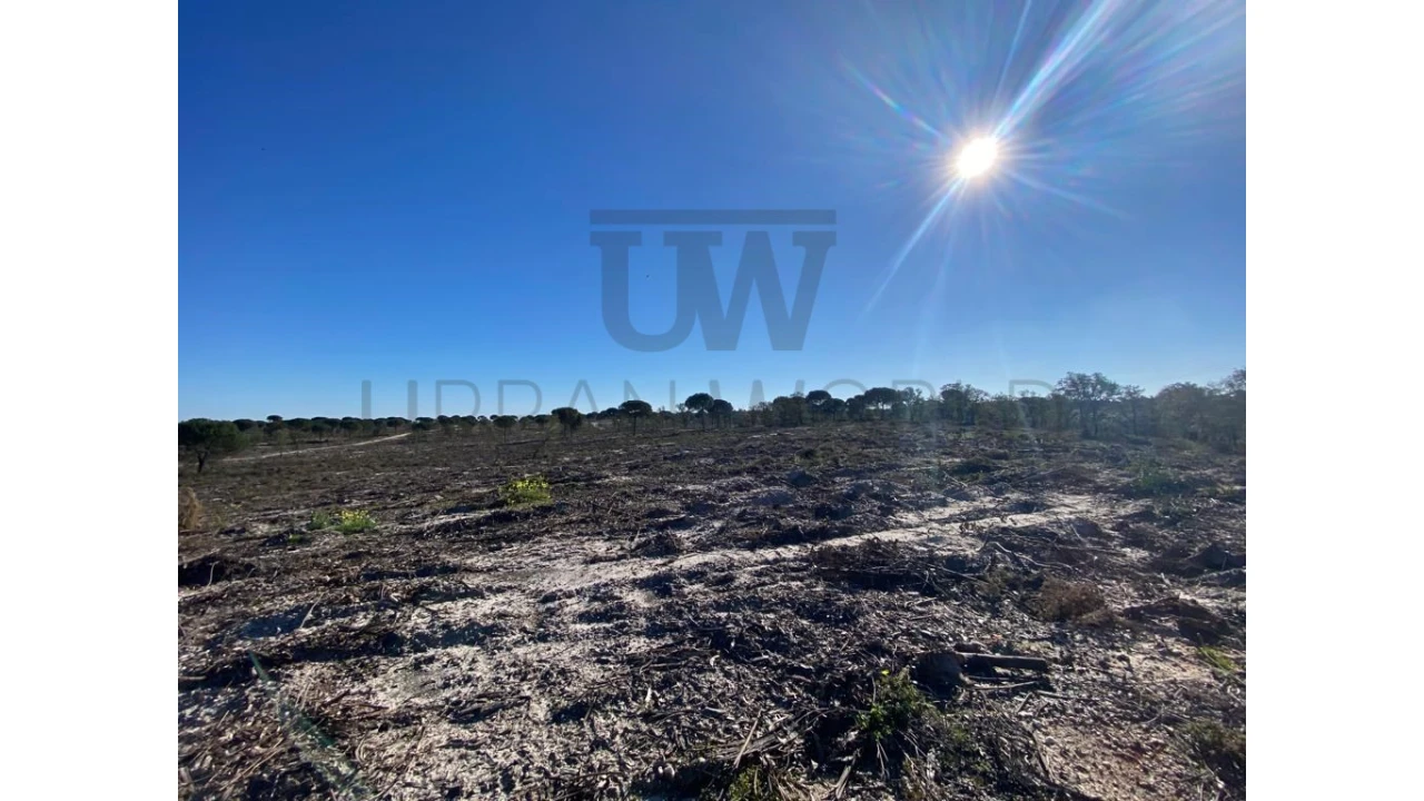 Terreno Comércio / Armazém para Venda em União das Freguesias de Setúbal Foto 2