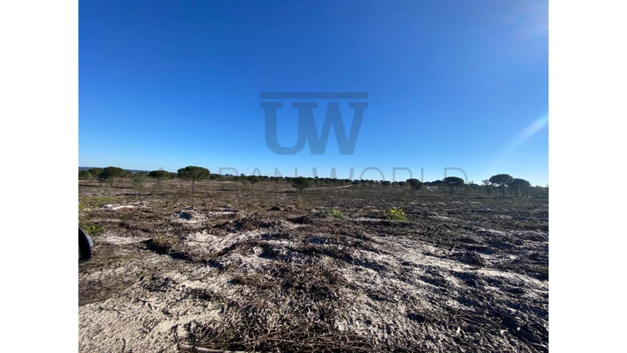 Terreno Comércio / Armazém para Venda em União das Freguesias de Setúbal Foto 4