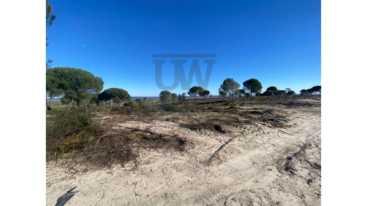 Terreno Comércio / Armazém para Venda em União das Freguesias de Setúbal Foto 5