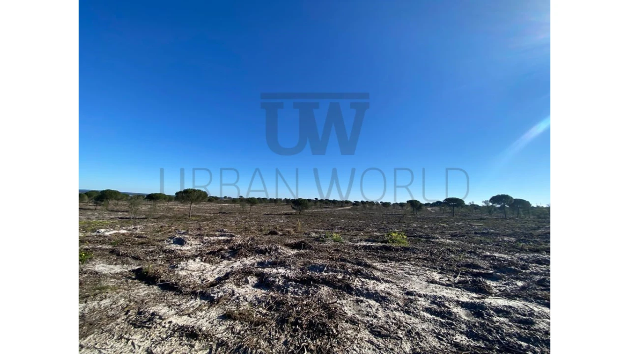 Terreno Comércio / Armazém para Venda em União das Freguesias de Setúbal Foto 7