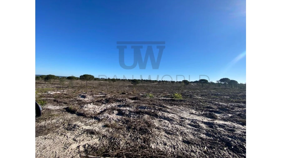 Terreno Comércio / Armazém para Venda em União das Freguesias de Setúbal Foto 4