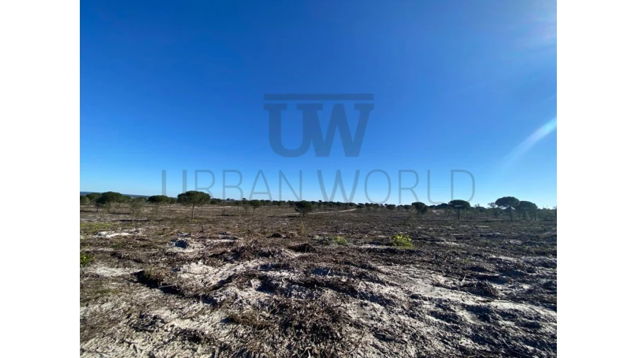 Terreno Comércio / Armazém para Venda em União das Freguesias de Setúbal Foto 7