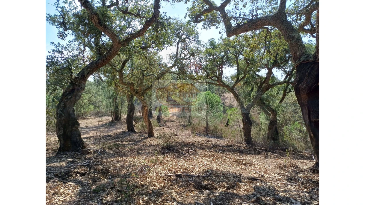 Terreno Agricola ou Rústico para Venda em Grândola e Santa Margarida da Serra Foto 2