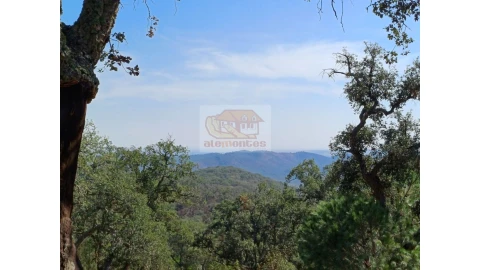 Terreno Agricola ou Rústico para Venda em Grândola e Santa Margarida da Serra