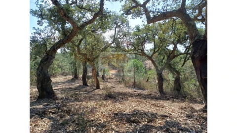 Terreno Agricola ou Rústico para Venda em Grândola e Santa Margarida da Serra