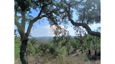 Terreno Agricola ou Rústico para Venda em Grândola e Santa Margarida da Serra