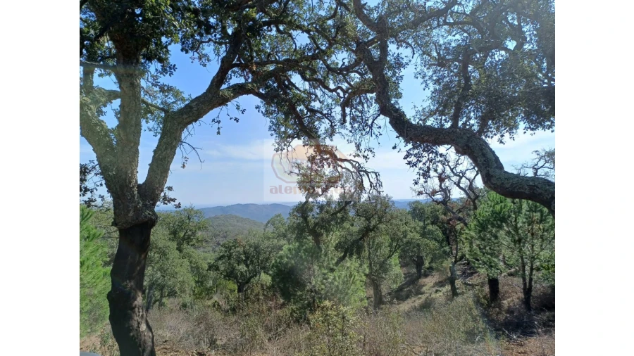 Terreno Agricola ou Rústico para Venda em Grândola e Santa Margarida da Serra Foto 7