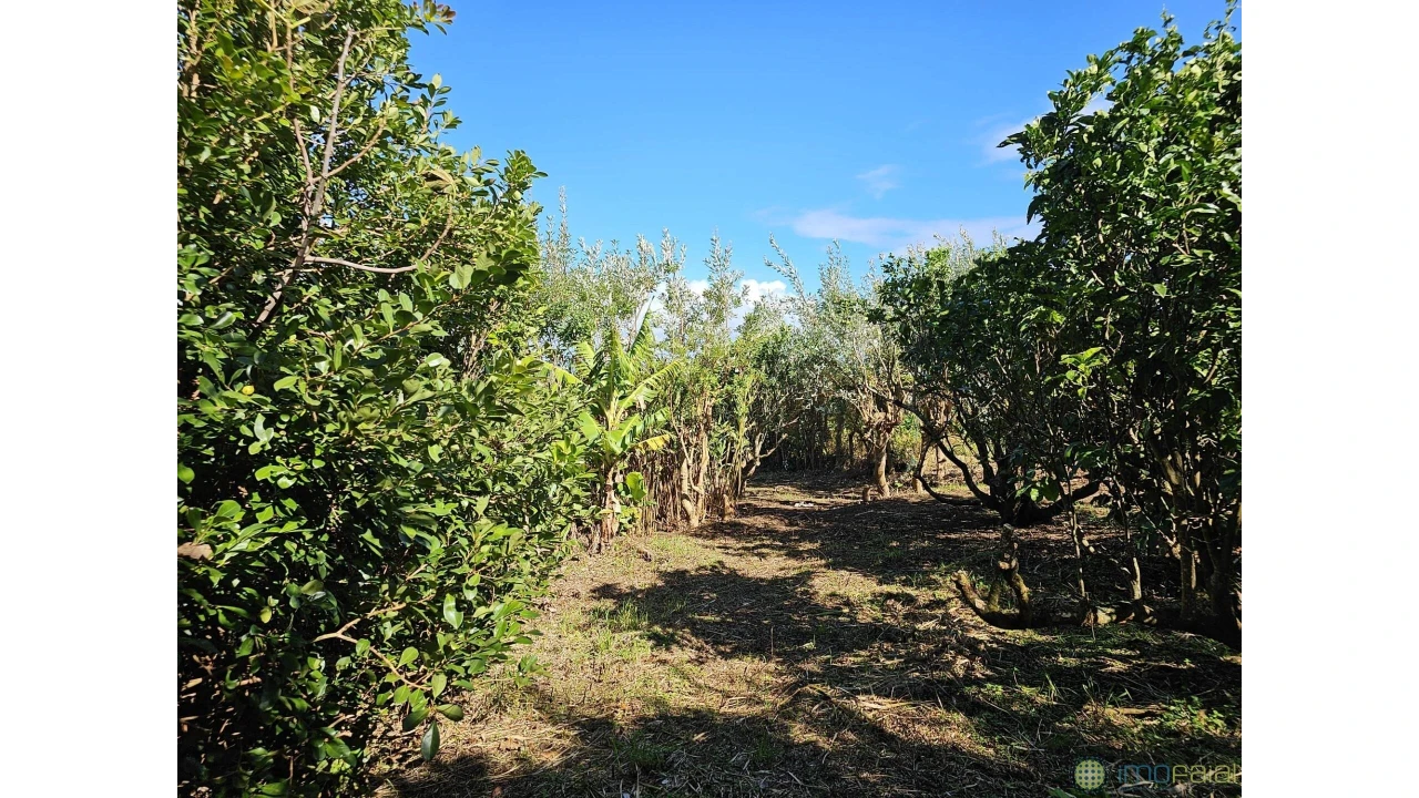 Moradia T4 para Venda em Cedros Foto 27